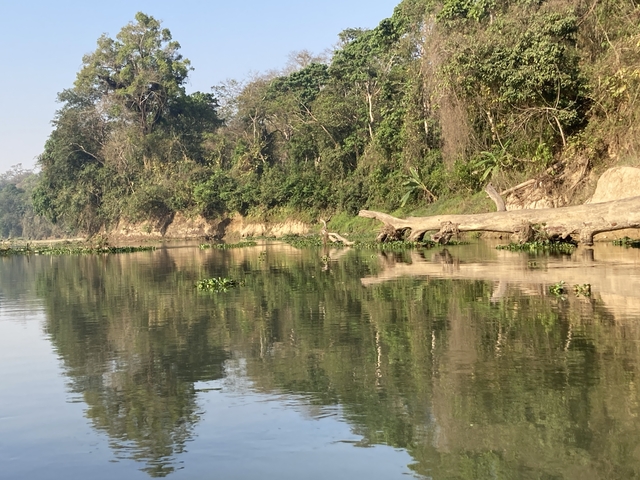       Riverside scene with reflection of trees in the water.
  