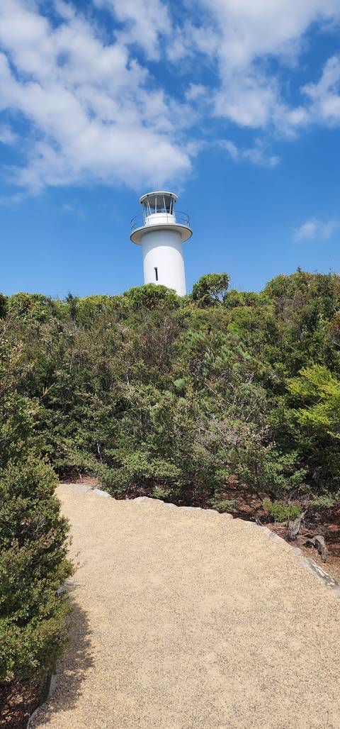       White lighthouse on the edge of a bushy hill.
  