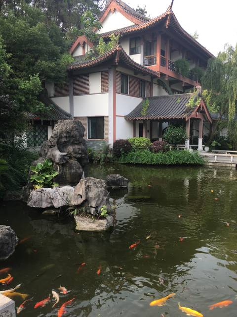 Traditional architecture near a koi pond