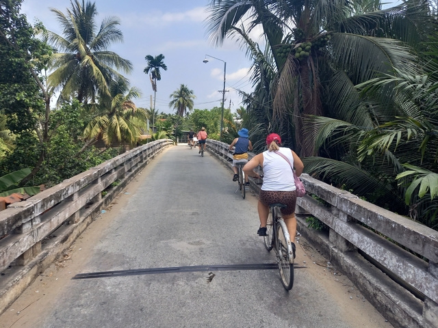 Group of people cycling over a narrow bridge surrounded by palm trees.
