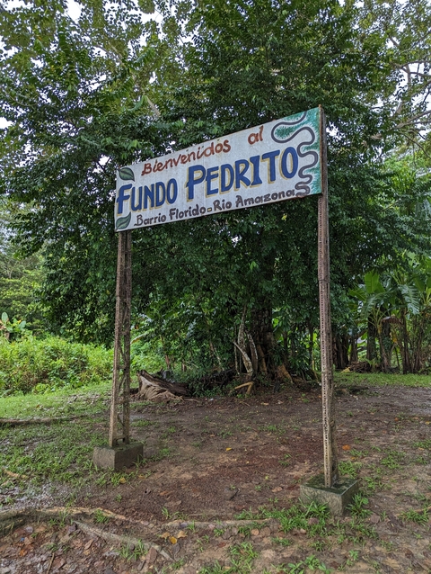       Signboard for Fundo Pedrito by roadside with trees.
  