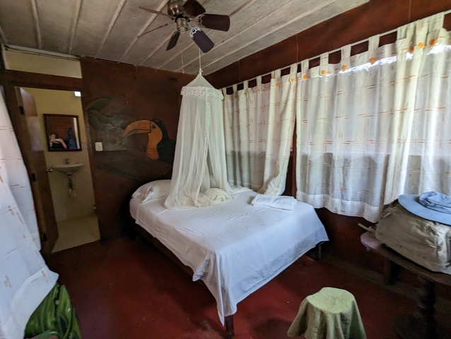       Simple bedroom with mosquito net and nature-themed wall art.
  