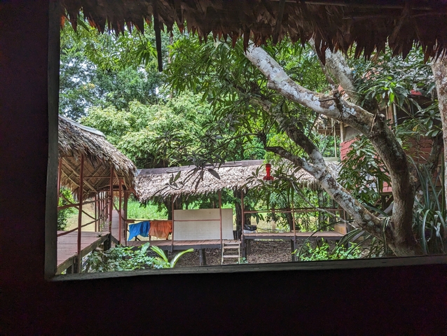       View through a window of a jungle lodge from indoors.
  