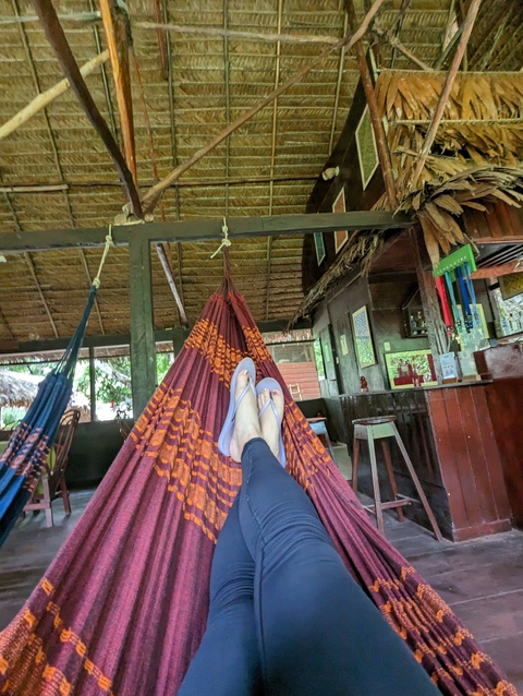       View from a hammock showing a rustic lodge interior.
  