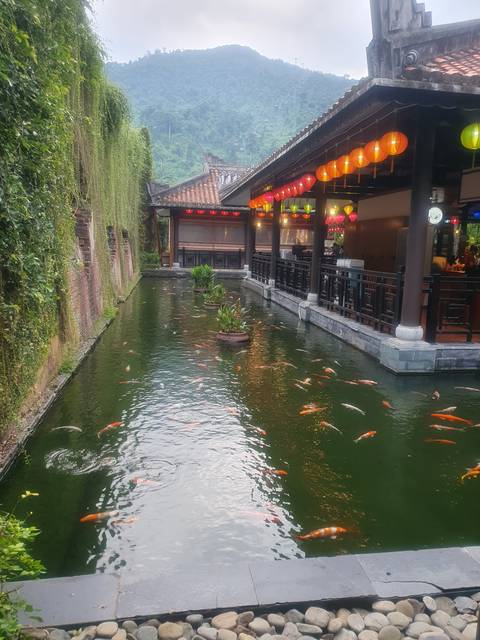 A pond with colorful fish, surrounded by wooden structures.