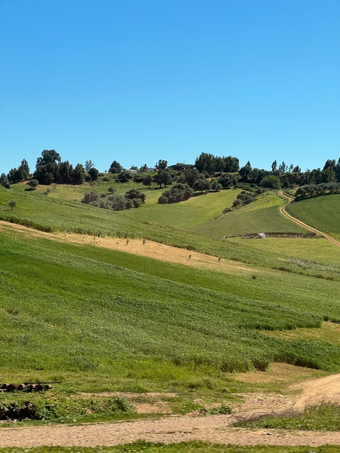 Lush green hills under a blue sky.