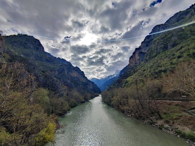       River flowing through a gorge surrounded by lush greenery.
  
