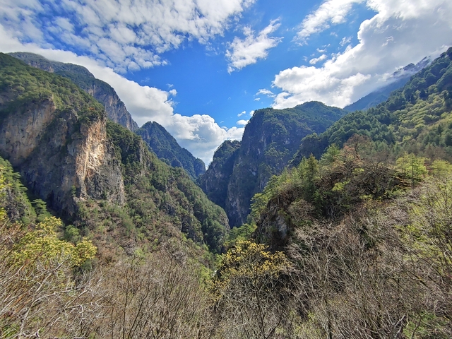       Scenic valley with towering cliffs under a clear sky.
  