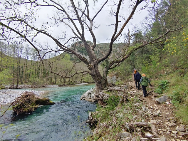 Hikers walking along a riverside trail with vivid foliage.