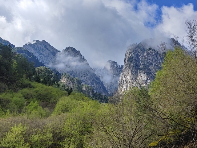 Mountain range with clouds and lush forest below.