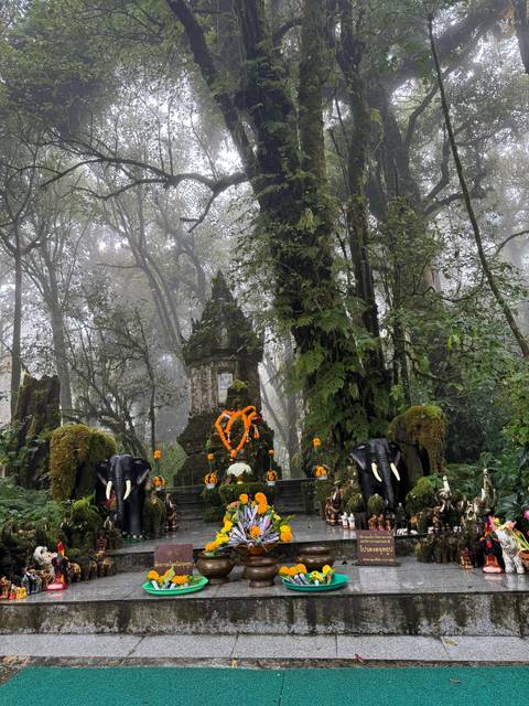 Ceremonial area with offerings in a forest setting.
