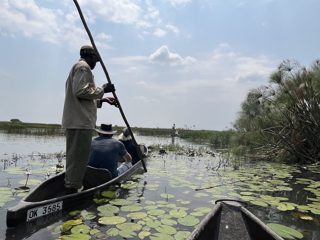       People on a canoe tour in a river with lush vegetation.
  