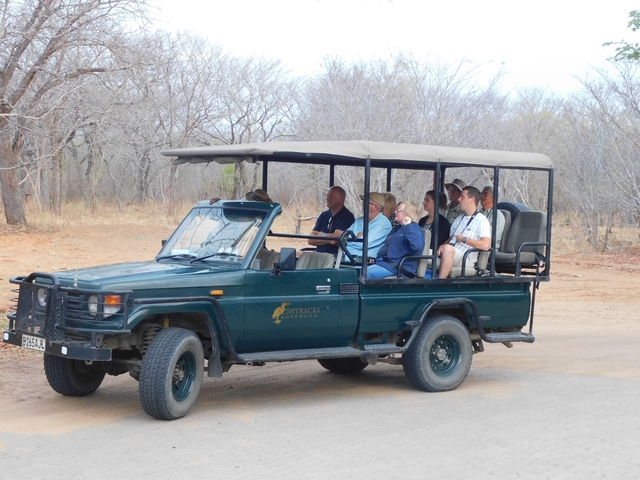      A group of people on a safari vehicle.
  