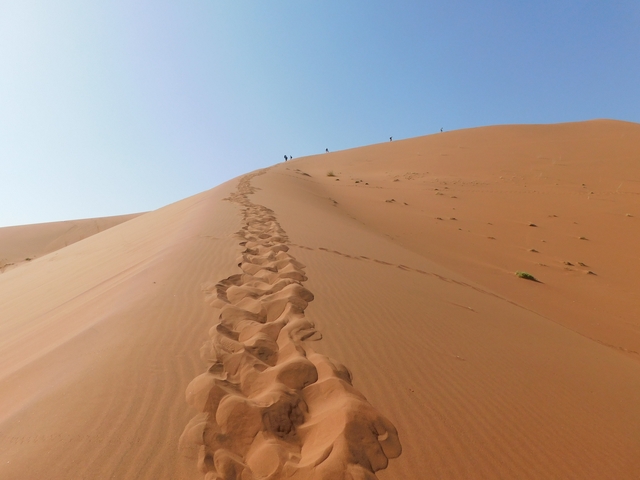       Footprints leading up a sand dune.
  
