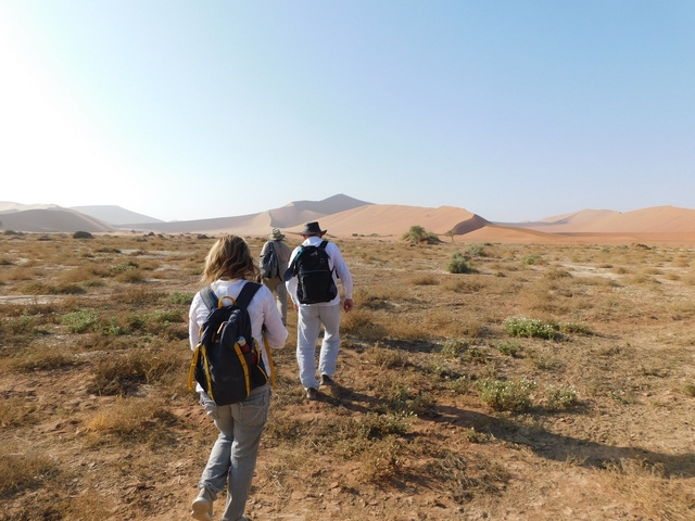       People hiking in a desert landscape with sand dunes.
  