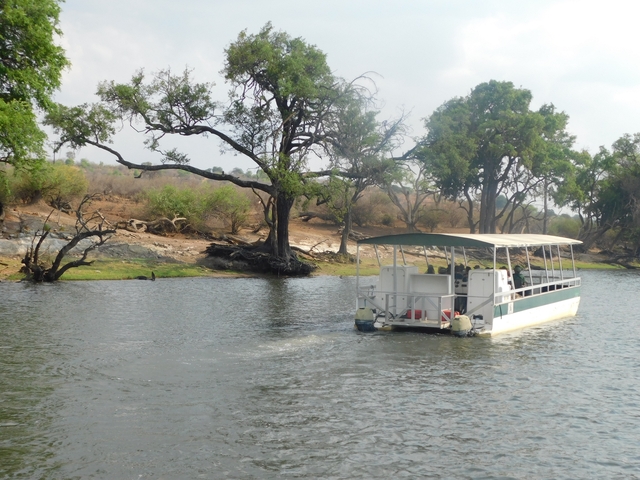 A boat on a river with lush trees on the banks.