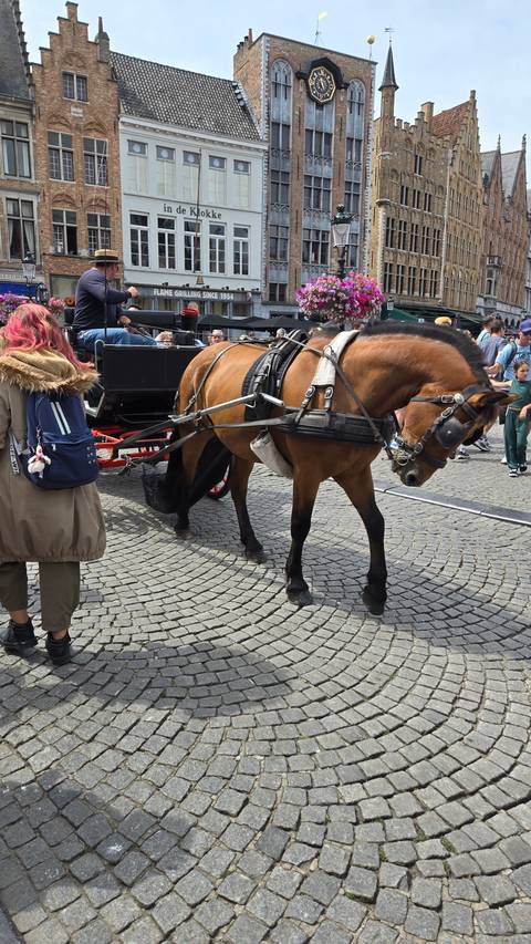 A horse-drawn carriage on a cobblestone street.