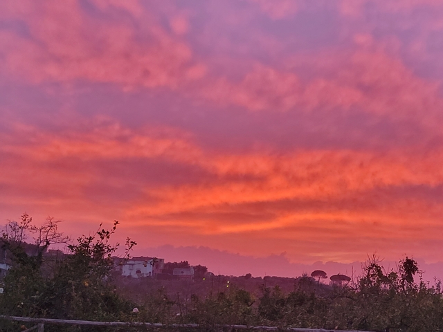 Vibrant sunset sky with trees and distant houses.