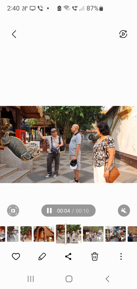 Tour guide explaining with tourists in a temple.