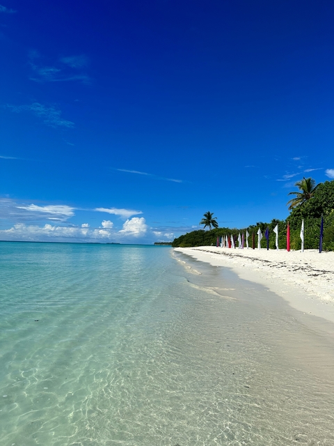 Beach scene with flags, trees, and turquoise sea.