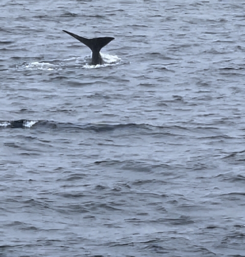       Close-up of water waves.
  