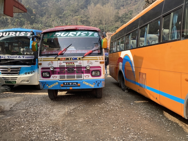       Colorful tourist buses parked closely together.
  