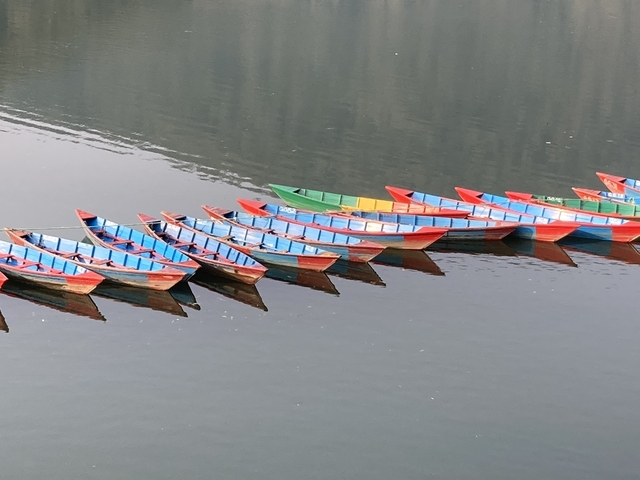 Colorful wooden boats aligned on a calm lake.