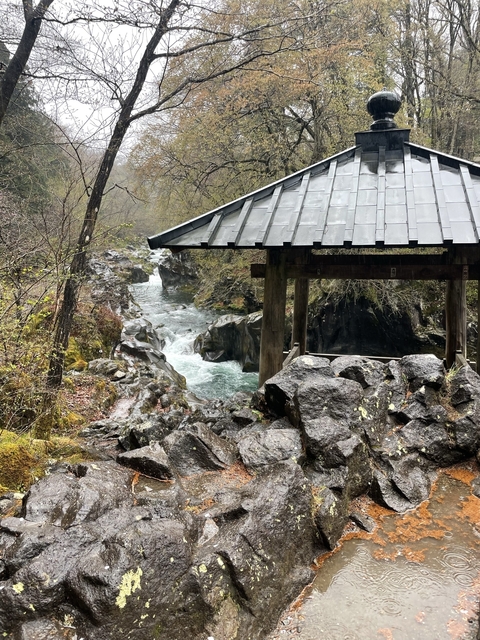 River with rocks and lush greenery
