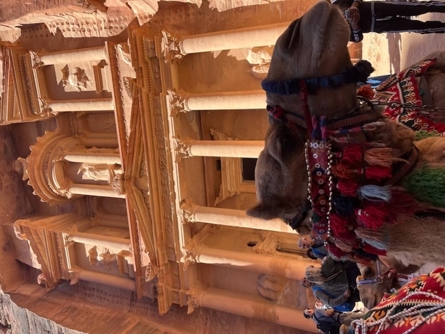 Klantbeoordelingsfoto van 8-daagse privé rondreis door Jordanië en Egypte 