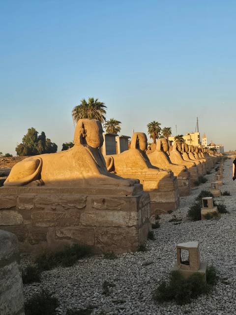       A series of sphinx statues with a building and palm trees in the background.
  