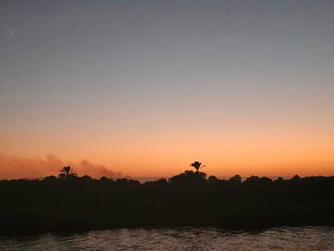 Sunset sky with palm trees on the horizon.