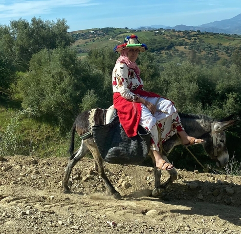 Person in traditional dress riding a donkey.