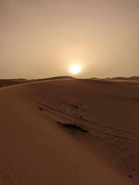       Desert in sunset with sand dunes.
  