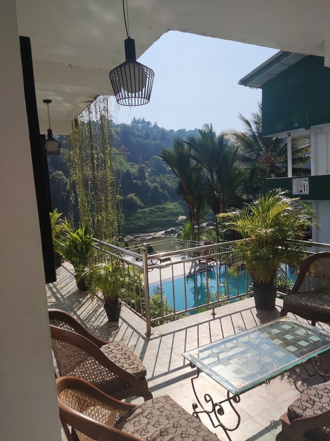       Resort area with a pool, surrounded by palm trees.
  