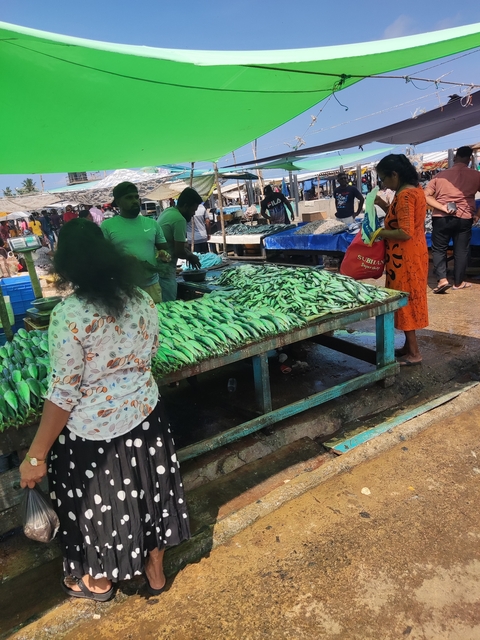      People at a fish market with tables full of fish.
  