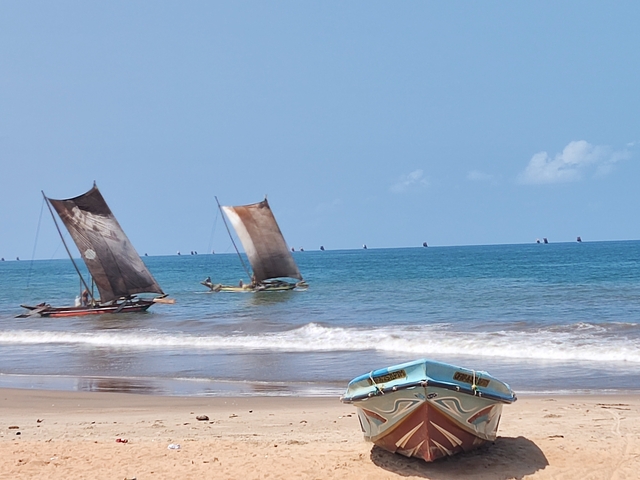       Traditional fishing boats on a sandy beach.
  