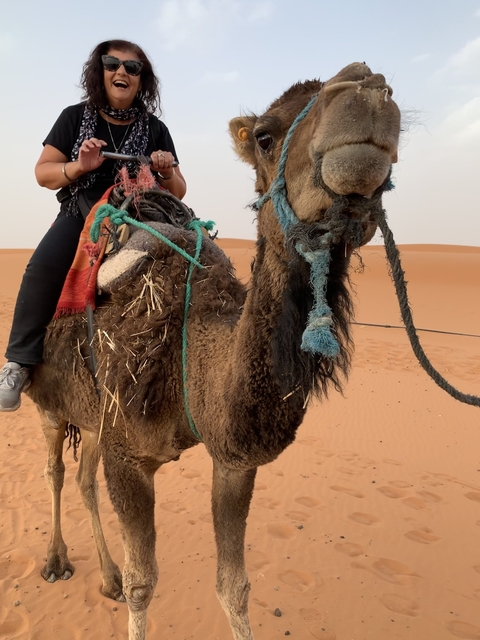       Person riding a camel in a desert.
  