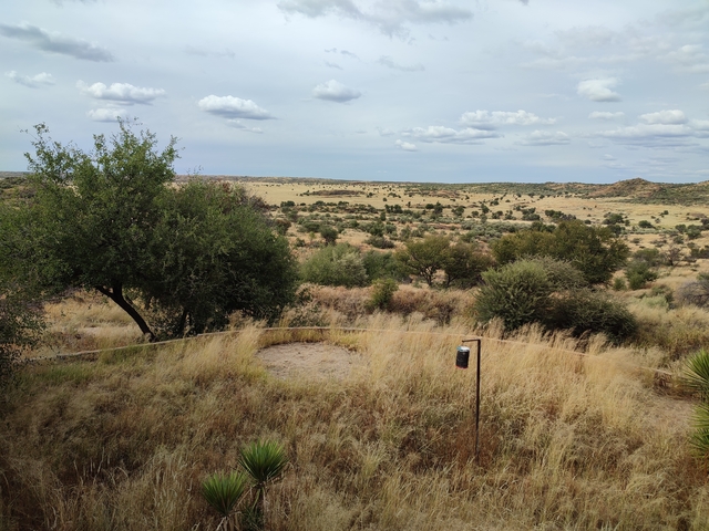       Open landscape with sparse trees and grass-covered hills.
  