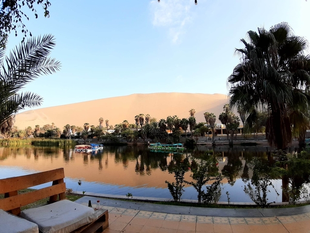       Oasis surrounded by palm trees and sand dunes.
  