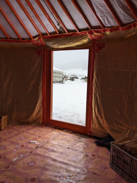       Snowy landscape viewed through a tent's entrance.
  