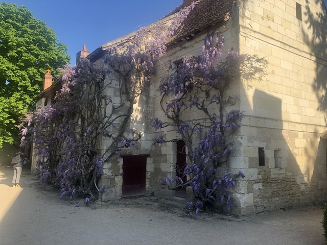       Charming stone building adorned with purple wisteria.
  