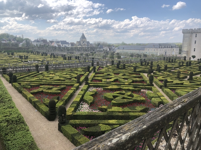 Beautifully manicured French garden with symmetrical hedges.