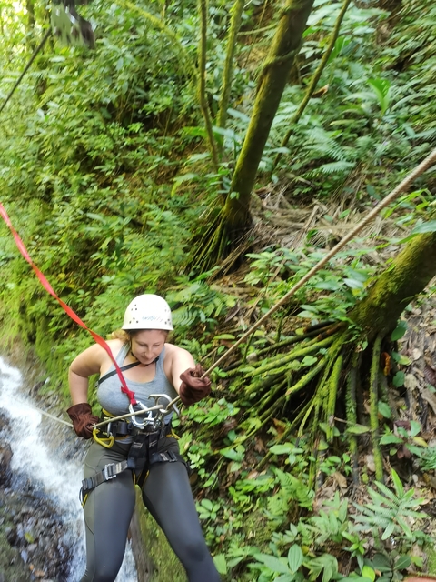 Person climbing down a forested area with ropes.