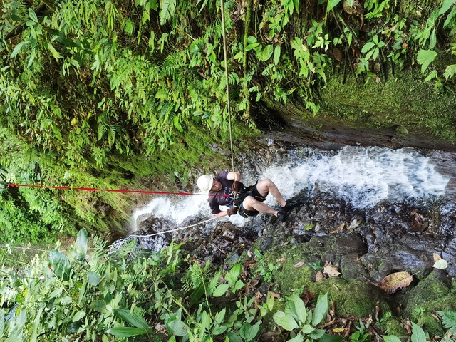 Person rappelling down a waterfall surrounded by foliage.