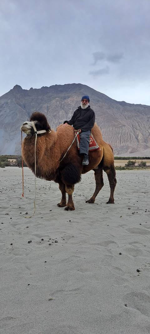 Person riding a camel on desert terrain.