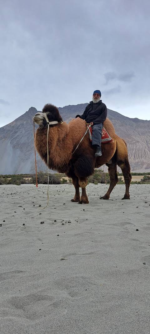 Person riding a camel on desert terrain.