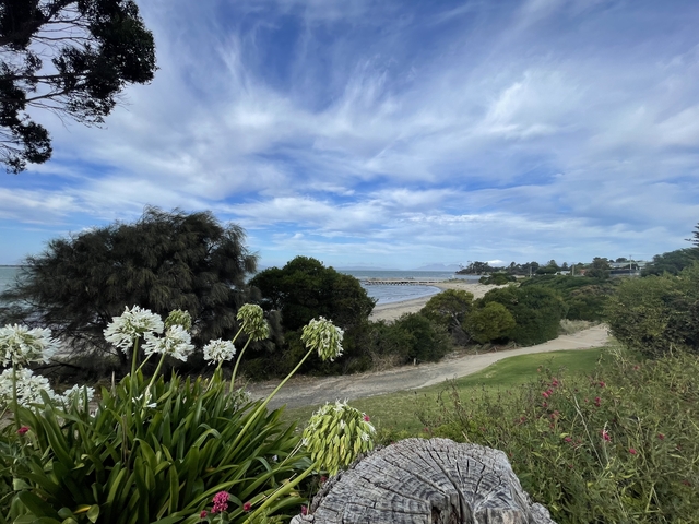       Beachfront scene with flowers and a pier.
  