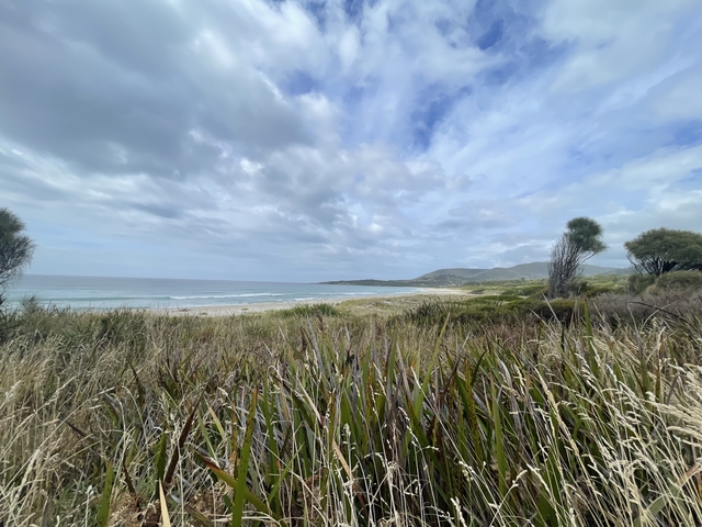       Grassy landscape with beach and mountains in the background.
  