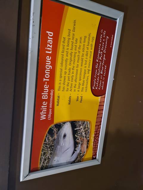 Informational sign about lizards.