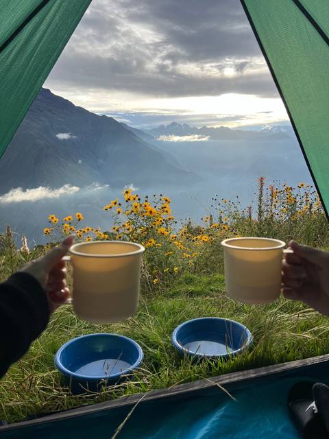 View from a campsite with coffee mugs and mountain flowers.